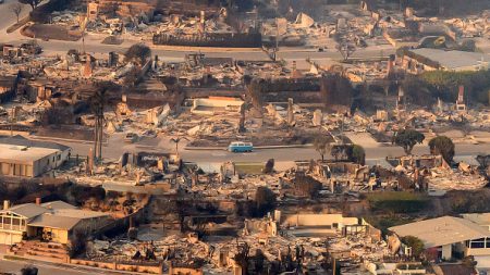 Incendies de Los Angeles : les grands studios annoncent plusieurs millions de dons