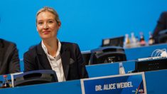 Législatives en Allemagne : un tract d’une section locale de l’AfD en forme de billet d’avion « pour migrant illégal »