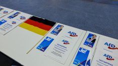 Législatives en Allemagne : un tract d’une section locale de l’AfD en forme de billet d’avion « pour migrant illégal »