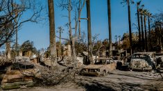 « Notre ville nous a complètement laissé tomber » : la colère gronde parmi les victimes des incendies à Los Angeles