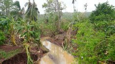 Tempête Dikeledi à Mayotte : un habitant a dû creuser « des trous dans le mur » de sa maison pour évacuer l’eau