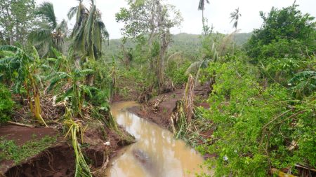 Tempête Dikeledi à Mayotte : un habitant a dû creuser « des trous dans le mur » de sa maison pour évacuer l’eau