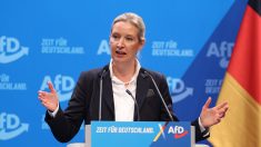 Législatives en Allemagne : un tract d’une section locale de l’AfD en forme de billet d’avion « pour migrant illégal »