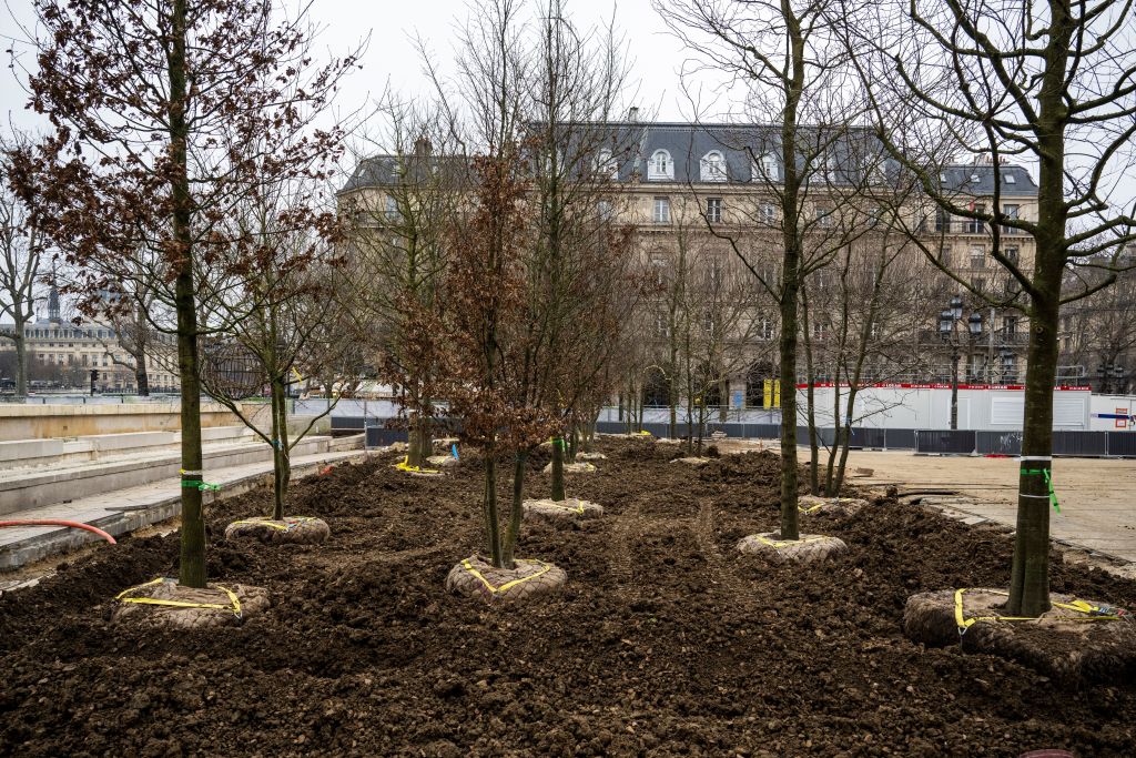 Forêt urbaine à Paris : ”Faire du chiffre [...] et les laisser mourir"