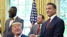 Stallone, Voight et Gibson seront « les yeux et les oreilles » de Trump à Hollywood