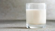 Les bienfaits du lait et les conseils pour en tirer le meilleur parti