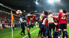 Ligue des champions : démonstration de Lille, qui va en 8e en écrasant Feyenoord (6-1)