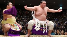 « Mon corps n’est pas à la hauteur » : le seul grand maître sumo Terunofuji du Japon prend sa retraite