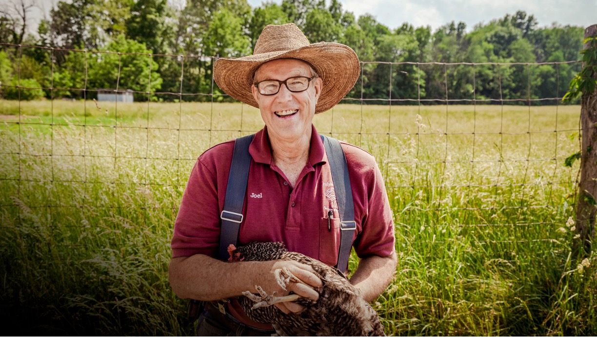 Faites la connaissance de Joel Salatin, pionnier de l'agriculture régénératrice, se qualifiant lui-même d'« agriculteur lunatique »