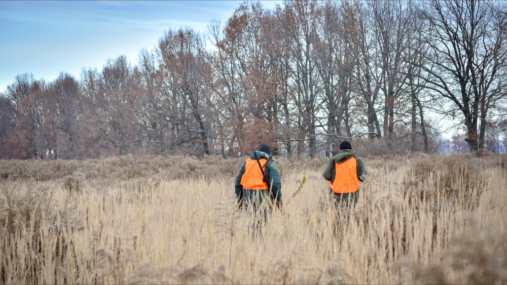 Manche : deux jeunes chasseurs retrouvés morts dans un gabion