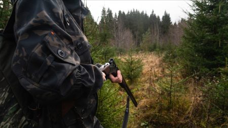 Charente : une battue aux sangliers vire au drame, un chasseur de 74 ans tué par une balle qui a ricoché