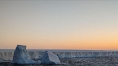 Un iceberg gigantesque, aussi gros que le Tarn-et-Garonne, va percuter une île britannique