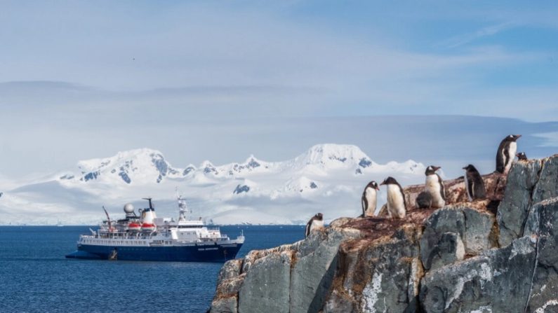 Le navire d'expédition Ocean Adventurer navigue dans le port de Mikkelsen, au large de la péninsule Antarctique. (Goldilock Project/Shutterstock)