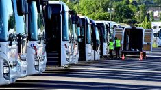 Accident de car scolaire : près de 9000 contrôles de chauffeurs depuis lundi