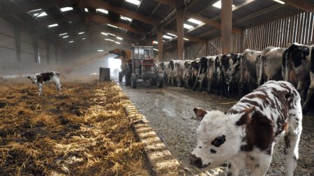 Loi d’orientation agricole : l’agriculture érigée au rang « d’intérêt général majeur » – que contient le texte ?