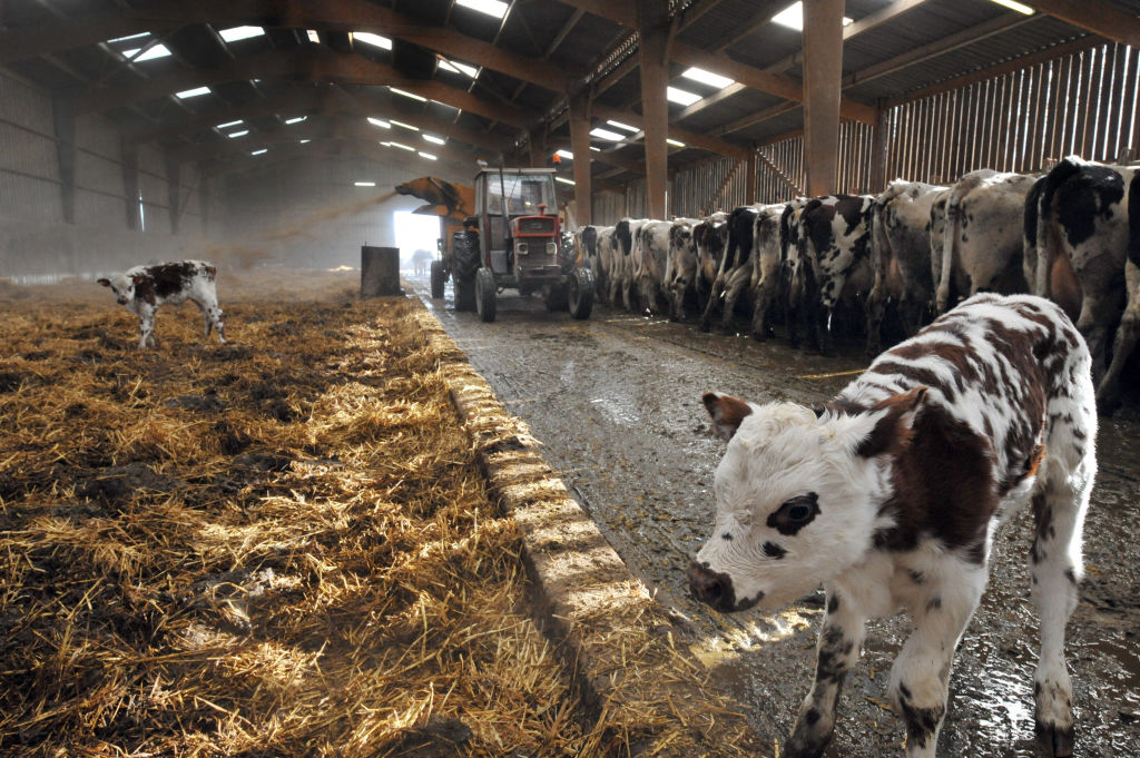 Loi d'orientation agricole : l’agriculture érigée au rang "d'intérêt général majeur" - que contient le texte ?