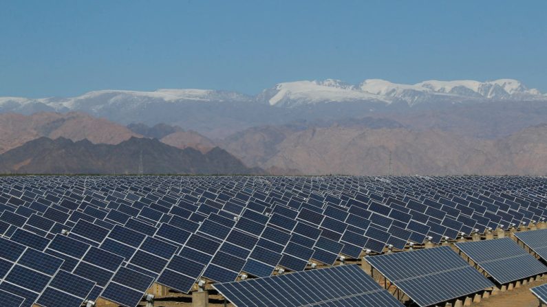 Un champ de panneaux solaires dans la région autonome du Xinjiang, dans le nord-ouest de la Chine. (STR/AFP via Getty Images)