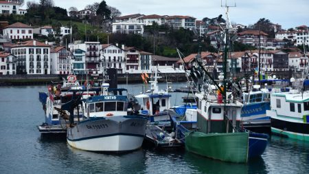 Dauphins : la pêche a repris dans le golfe de Gascogne, après quatre semaines d’arrêt