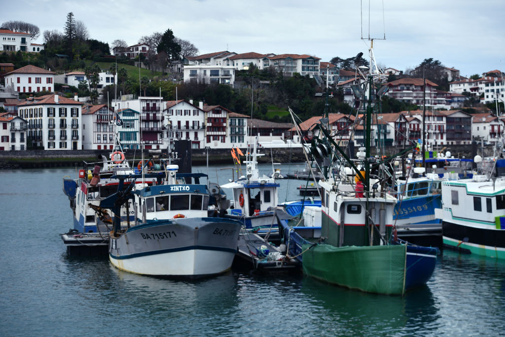 Dauphins : la pêche a repris dans le golfe de Gascogne, après quatre semaines d'arrêt