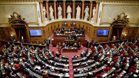 Mariage d’un étranger en situation irrégulière : le Sénat veut son interdiction malgré les barrières juridiques