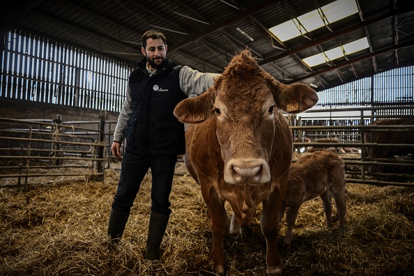 L'agriculteur Alexandre Humeau se tient à côté de sa vache limousine élevée sous le nom d'Oupette dans sa ferme, à Dienné dans la Vienne, le 29 janvier 2025. (Photo PHILIPPE LOPEZ/AFP via Getty Images)