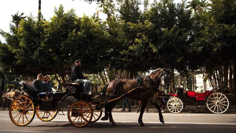 Des touristes visitent la ville de Malaga en calèche, le 10 février 2025. (JORGE GUERRERO/AFP via Getty Images)