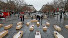 Des cercueils en plein Paris pour alerter sur le sort des journalistes ukrainiens