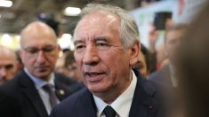 Philippe d’Iribarne : « La manière de gouverner de François Bayrou convient à la situation politique actuelle d’absence de majorité »