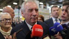 En cas de « blocage » sur les retraites, François Bayrou envisagerait « le référendum »