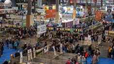 Salon de l’agriculture : la grande distribution a présenté ses « engagements », un « coup de communication » selon certains