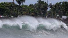 La Réunion placée en alerte violette, le plus haut niveau, à l’approche du cyclone Garance