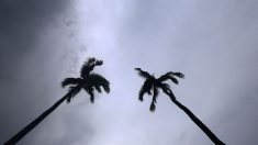 La Réunion : le cyclone Garance rétrogradé, l’île repasse en alerte rouge