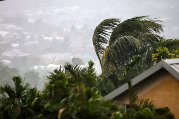 Un palmier sous les rafales de vent alors que le cyclone Garance approche à La Possession, à La Réunion, le 28 février 2025. (RICHARD BOUHET/AFP via Getty Images)