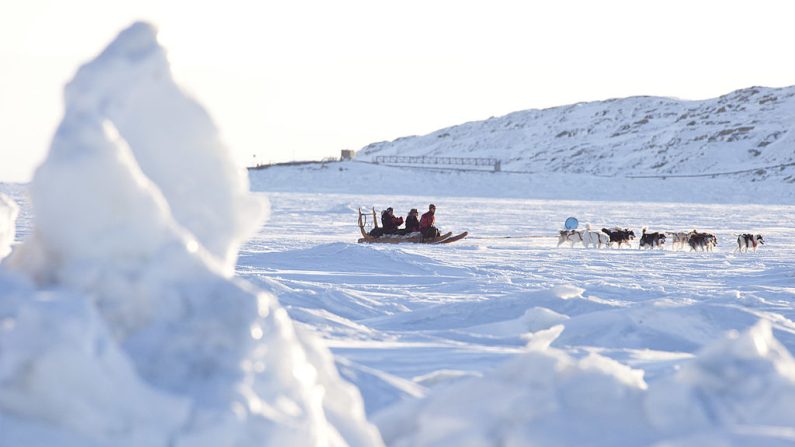 Le ministre canadien des Finances Jim Flaherty traverse en traîneau à chiens la baie gelée de Frobisher au large d'Iqaluit, Nunavut, Canada, le 5 février 2010. AFP PHOTO/GEOFF ROBINS (Crédit photo GEOFF ROBINS/AFP via Getty Images)