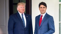 Donald Trump suspend les droits de douane pour 30 jours après s’être entretenu avec Justin Trudeau, le Canada nommera un « tsar du fentanyl »