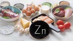 Les 9 bienfaits du zinc et où le trouver dans l’alimentation