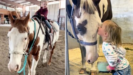 Les chevaux peuvent la sentir : rencontrez l’experte de 2 ans qui peut monter des chevaux adultes