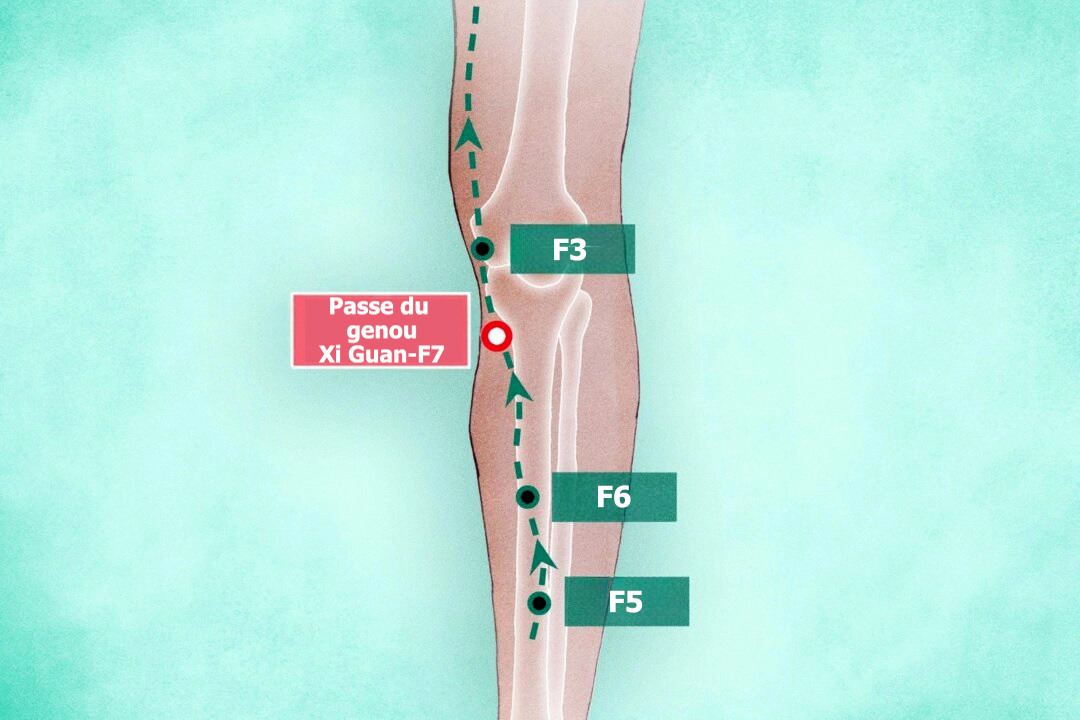 Xi Guan : un secret ancestral pour des genoux forts