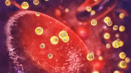 Le cholestérol pourrait renforcer les capacités de l’organisme à lutter contre le cancer