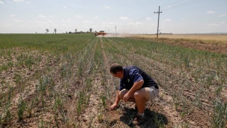 Le débat sur les fermes sud-africaines aux mains des Blancs est obscurci par des mythes, selon des experts