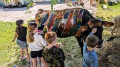 Mayenne : une ferme itinérante artistique propose de peindre sur des vaches, des internautes s’offusquent