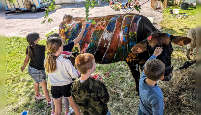 Mayenne : une ferme itinérante artistique propose de peindre sur des vaches, des internautes s’offusquent