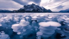 Canada : les images à couper le souffle du lac Abraham, avec ses bulles emprisonnées sous la glace