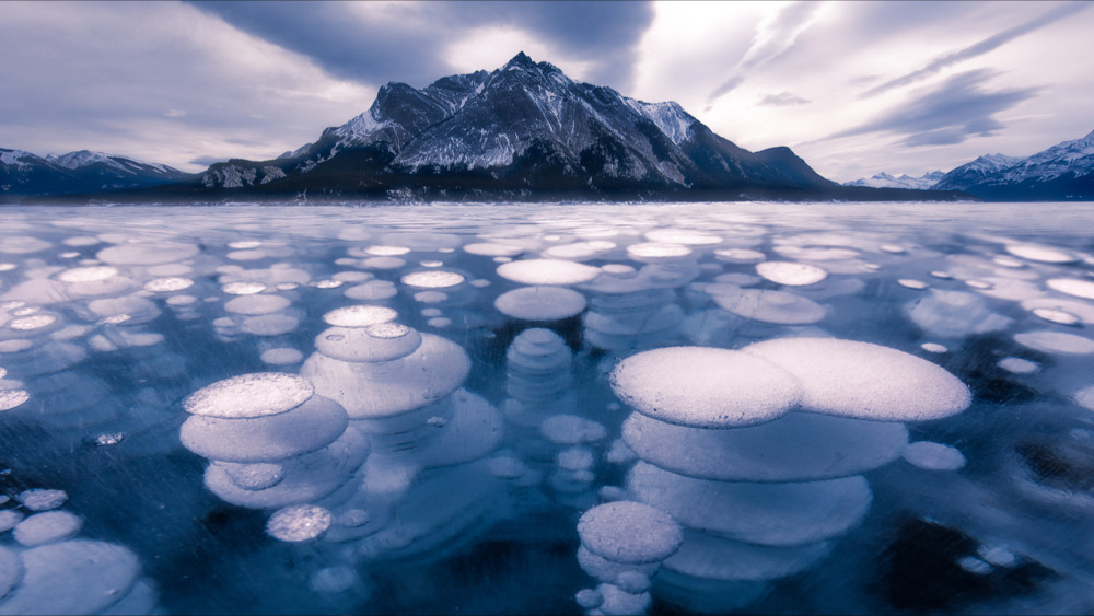 Canada : les images à couper le souffle du lac Abraham, avec ses bulles emprisonnées sous la glace