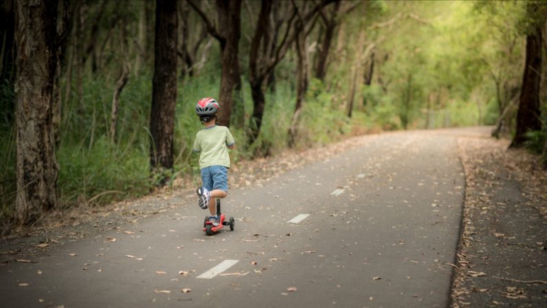 (Photo : noBorders - Brayden Howie/Shutterstock)