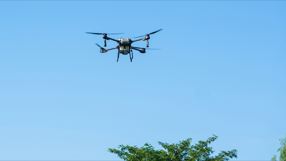 Mont-de-Marsan : des Kinder surprise livrés par drone dans la cour d'une prison