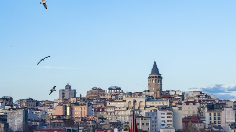 Istanbul est à la veille d'un séisme aux conséquences désastreuses. (Photo : RauL C7/Shutterstock)