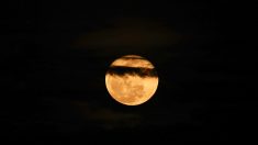 La Lune va rougir lors d’une éclipse ce soir, la première de l’année