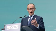 Allemagne : Friedrich Merz représente-t-il un obstacle pour l’AfD ?