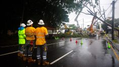 Tempête en Australie : deux camions militaires en mission entrent en collision, 36 blessés